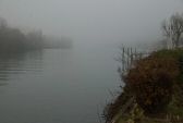 brouillard-007.jpg