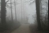 brouillard-012.jpg