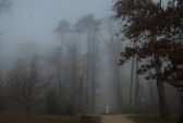 brouillard-019.jpg