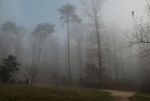 brouillard-022.jpg
