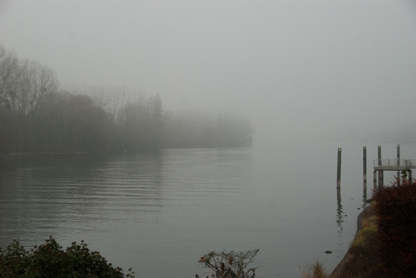 brouillard-008.jpg