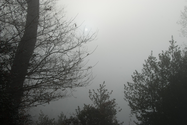 brouillard-018.jpg