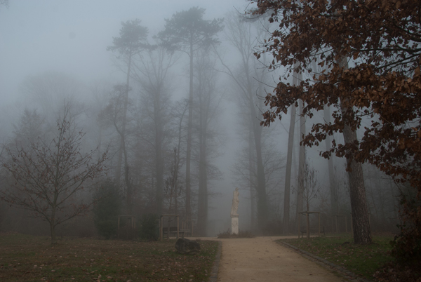 brouillard-020.jpg