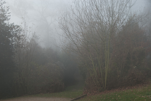 brouillard-021.jpg