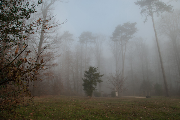 brouillard-023.jpg