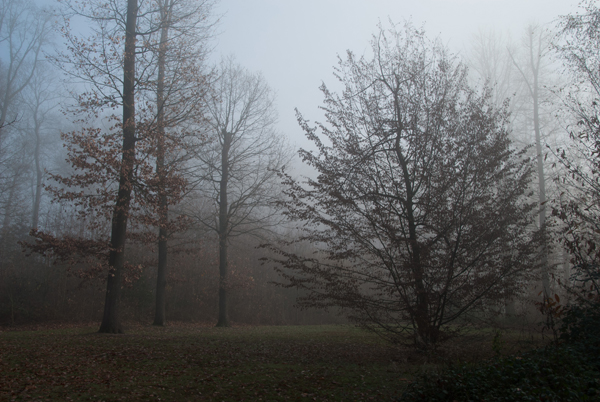 brouillard-025.jpg