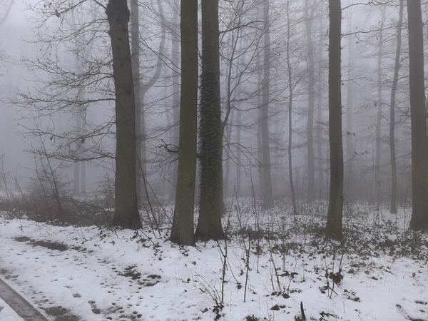 brouillard250119-002.jpg