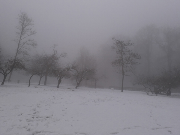 brouillard250119-004.jpg
