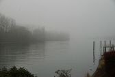 brouillard-008.jpg