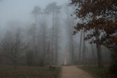brouillard-020.jpg