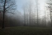 brouillard-026.jpg