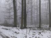 brouillard250119-002.jpg