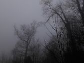 brouillard250119-003.jpg